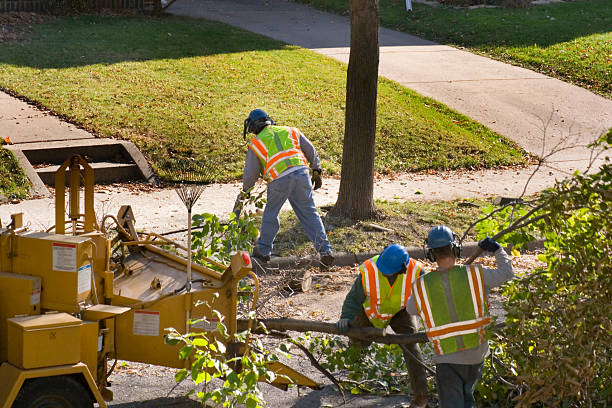 Best Lawn Watering Services  in Culpeper, VA